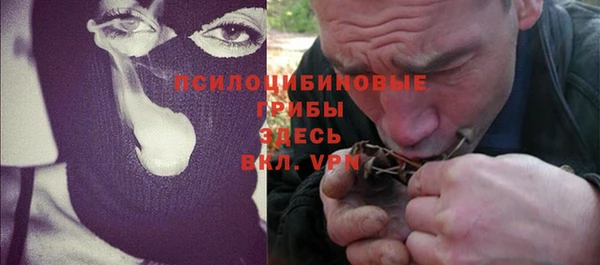 Альфа ПВП Белокуриха