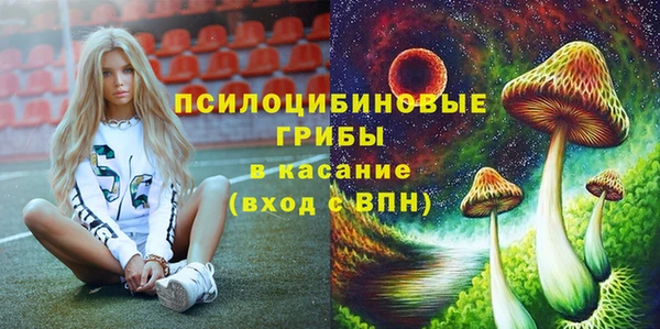 Альфа ПВП Белокуриха