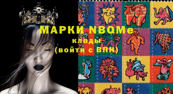Альфа ПВП Белокуриха